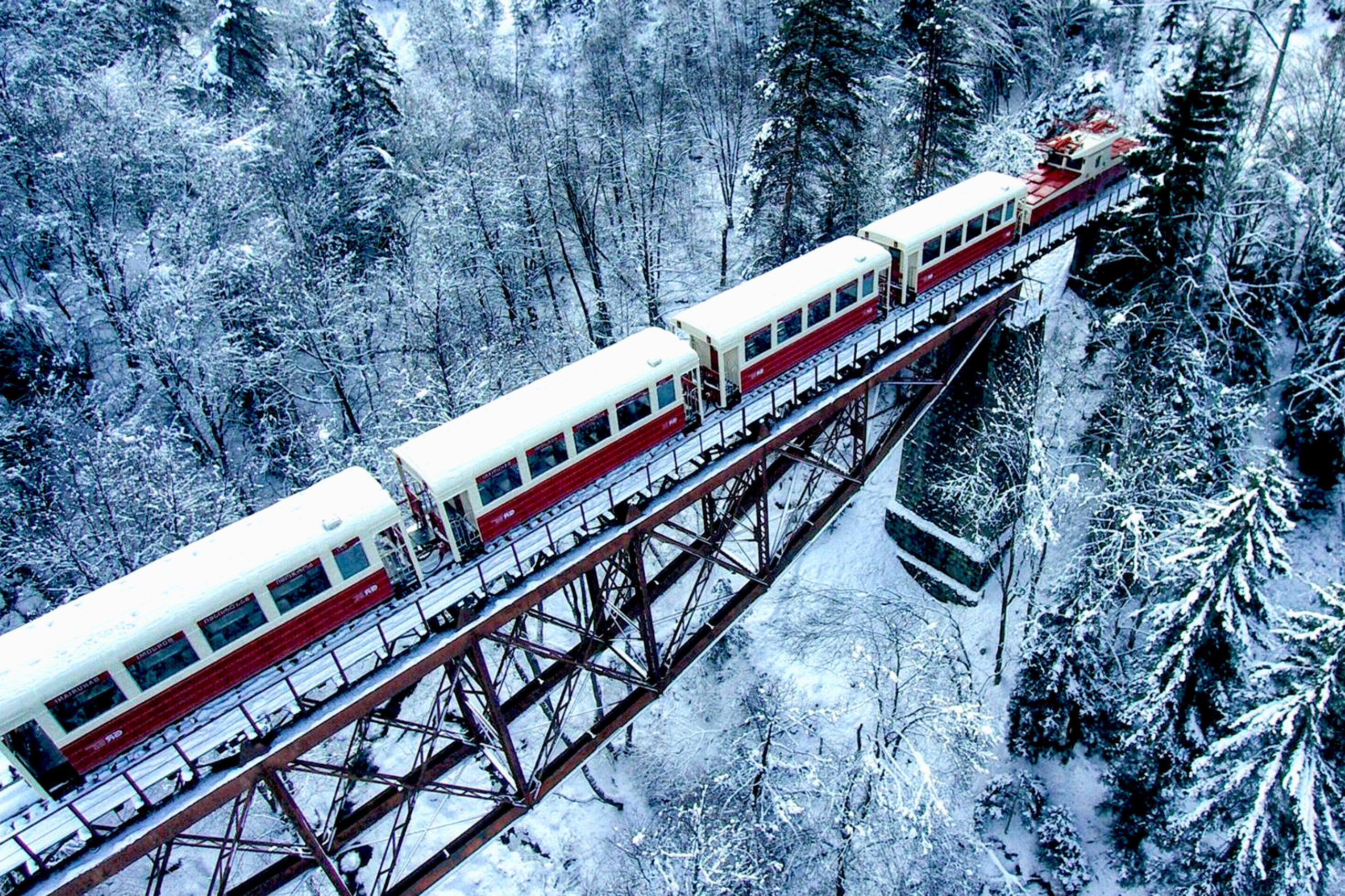 Where-to-go-in-Georgia-in-winter-Kukushka-Trainjintravel.com
