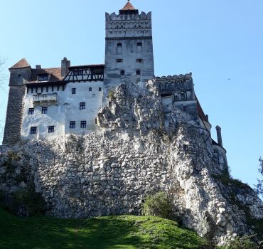 Libearty Bear Sanctuary and Bran - Draculas Castle in One Day Tour