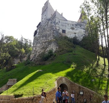 Libearty Bear Sanctuary and Bran - Draculas Castle in One Day Tour