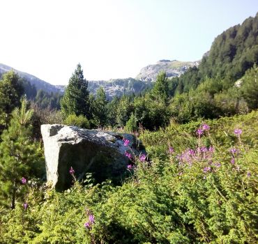 Private Trekking in Rila Mountains and Mousala from Sofia