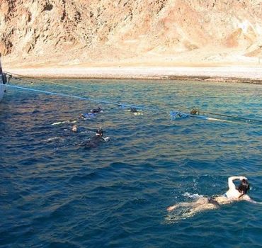 Dahab Discovery (Sea Scope and Boat Trip)