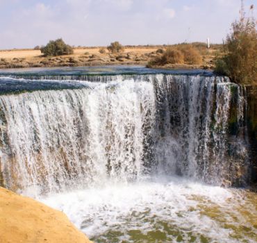 One Day Fayoum Trip from Cairo