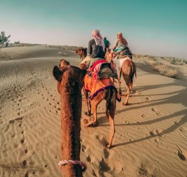 Red Dunes Desert Safari with Camel Ride, Sand Boarding, BBQ Dinner &amp; Entertainment