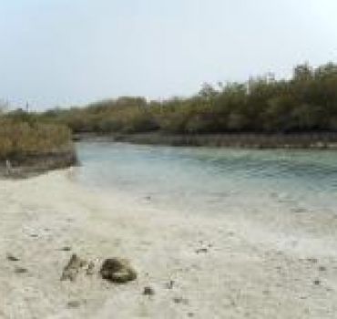 RAS MUHAMMAD National Park by Bus