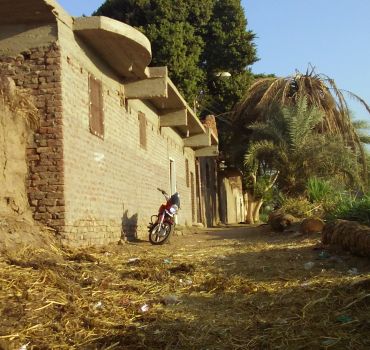 Luxor: City Tour by Horse Carriage from the East Bank