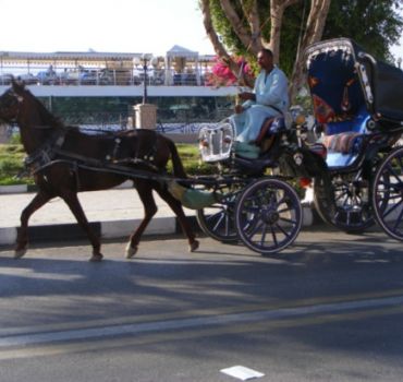 Luxor: City Tour by Horse Carriage from the East Bank