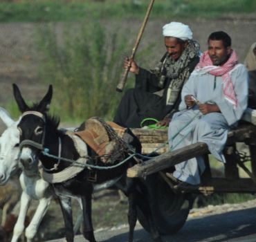 Luxor: City Tour by Horse Carriage from the East Bank