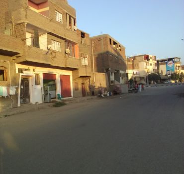 Luxor: City Tour by Horse Carriage from the East Bank