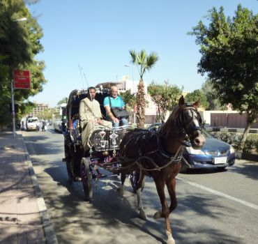 Luxor: City Tour by Horse Carriage from the East Bank