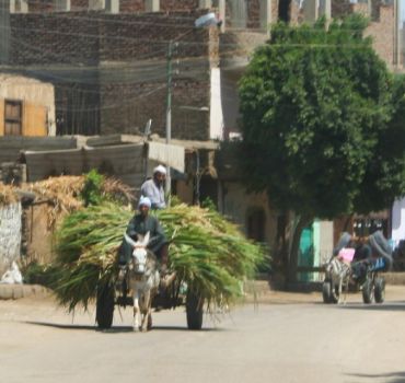 Luxor: City Tour by Horse Carriage from the East Bank