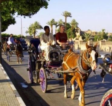 Luxor: City Tour by Horse Carriage from the East Bank