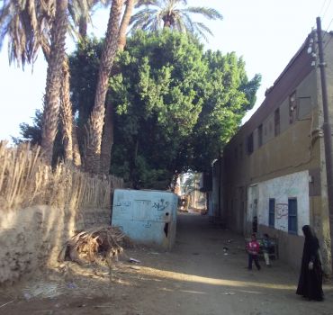 Luxor: City Tour by Horse Carriage from the East Bank