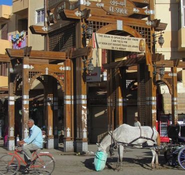Luxor City Tour with horse-drawn carriage