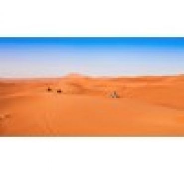 Morning Desert Safari with Desert Sand Boarding