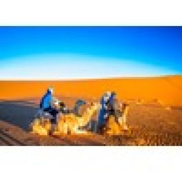 Camel Trekking Desert Safari with Desert Camp Dinner
