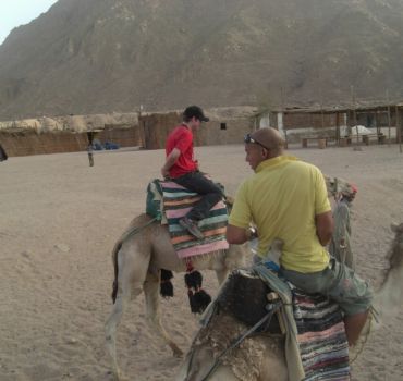 3 Hours Tour Quad Biking in Sharm Desert included Transfers