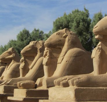 Luxor Private Sightseeing Tour West Bank and East Bank - Temples and Tombs