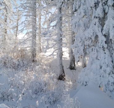 Private Vitosha Mountains Hiking with Black peak and Dragalevtsi Monastery