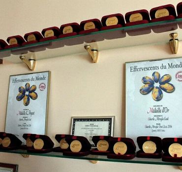Private Make Your Own Wine Experience in Edoardo Miroglio Winery
