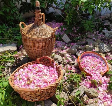 Rose Jam Workshop and Leavening of Authentic Yoghurt in a Traditional House