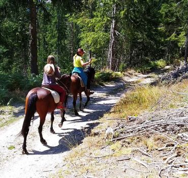 Private Horse Riding Tour To the Perelik Top in Smolyan