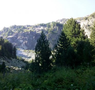 Private Vitosha Mountains Hiking with Black peak and Dragalevtsi Monastery