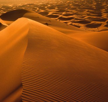 Desert Tour Marrakech to Fes (3 Days 2 Nights)