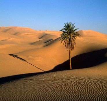 Desert Tour Marrakech to Fes (3 Days 2 Nights)