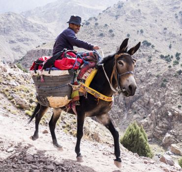 2 day berber villages trek from Marrakech to atlas mountains