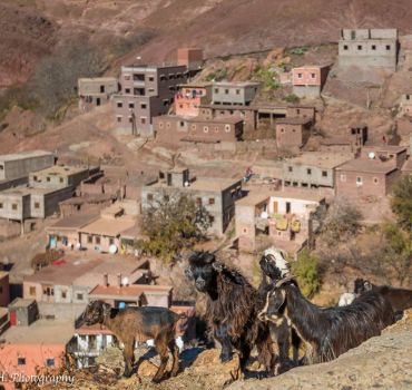 2 day berber villages trek from Marrakech to atlas mountains