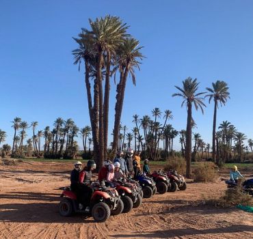 Sunset Quad Biking in the Palm Grove of Marrakech