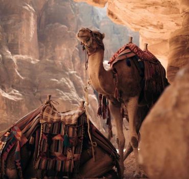 03 Day Private Tour of Petra, Wadi Rum and Dead Sea From Amman