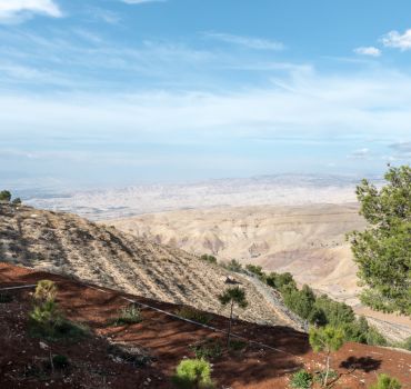 Private Half-Day Tour To Madaba &amp;amp; Baptism Site from Amman