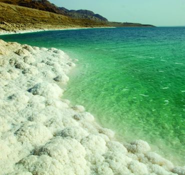 Half Day Tour to Dead Sea From Amman