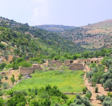 Full-Day Private Tour to Jerash, Umm Qais and Ajloun Castle