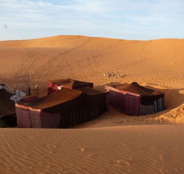4 Days  Trip from Casablanca to Marrakech via Fes and Sahara