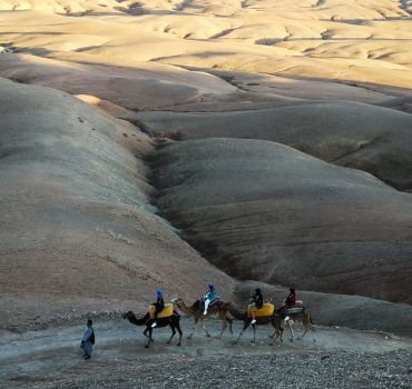 Camel Ride through the Agafay desert with dinner and show