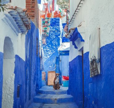 Chefchaouen Day Trip from Casablanca