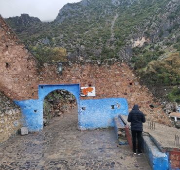 Chefchaouen Day Trip from Casablanca