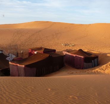 Desert Tour Fes to Marrakech (3 Days 2 Nights)