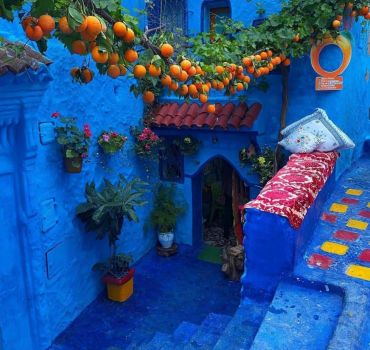 Chefchaouen Day Trip from Casablanca