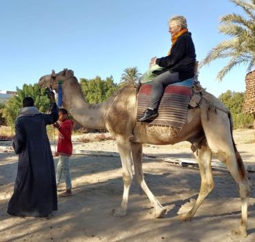 2-Hour Camel Ride on the West Bank of Luxor
