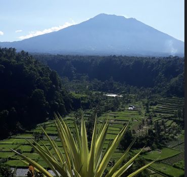 Bali waterfall and temple tour