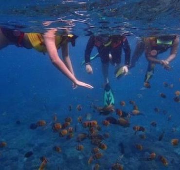 Best of Nusa Penida with Snorkling