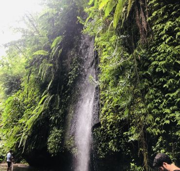 Bali waterfall and temple tour