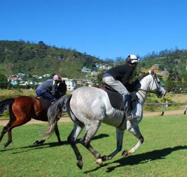 Horse Riding in Nuwara Eliya