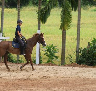 Horse Riding in Nuwara Eliya