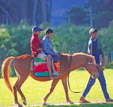 Horse Riding in Nuwara Eliya