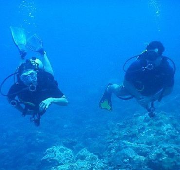 Scuba Diving in Mirissa