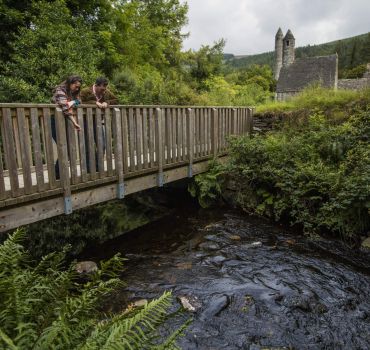 From Dublin to Glendalough , Wicklow mountains and Kilkenny and a Sheepdog Demonstration